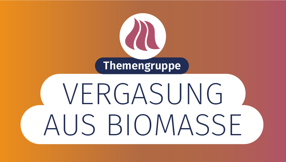 Themengruppe Vergasung von Biomasse