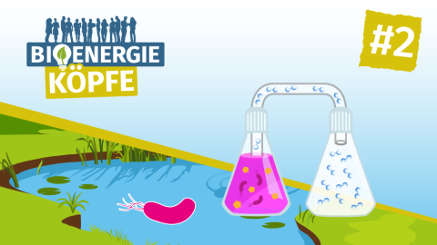 Ein Video zeigt, wie Bakterien Lebensmittelreste zu Wasserstoff umwandeln