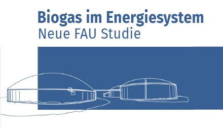 Cover der Studie "Biogas im Energiesystem"