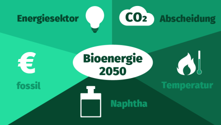 Biomasse in der Bioenergie im Jahr 2025
