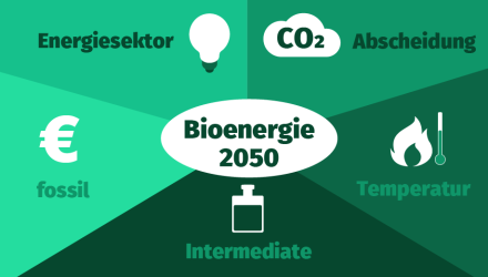 Bioenergie im Jahr 2050