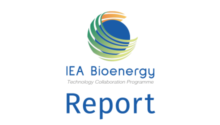 IEA Bioenergy veröffentlicht Report über grünen Wasserstoff und biobasierte Wertschöpfung