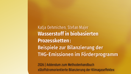 Cover Addendum_Methodenhandbuch - Wasserstoff biobasierte Prozesse