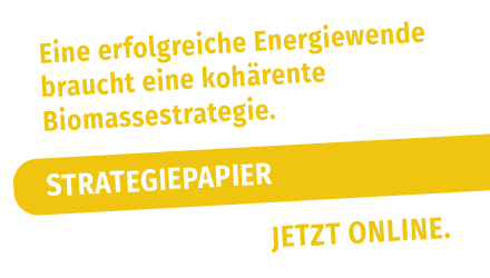 Kohärente Biomassestrategie wichtig für Erfolg der Energiewende 