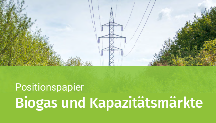 Biogasanlagen können Stromkapazitäten schaffen