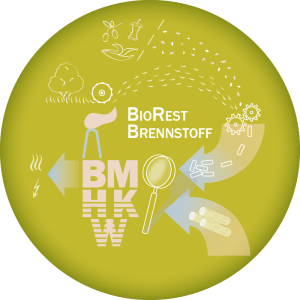 Icon BioRestBrennstoff BioE Talk